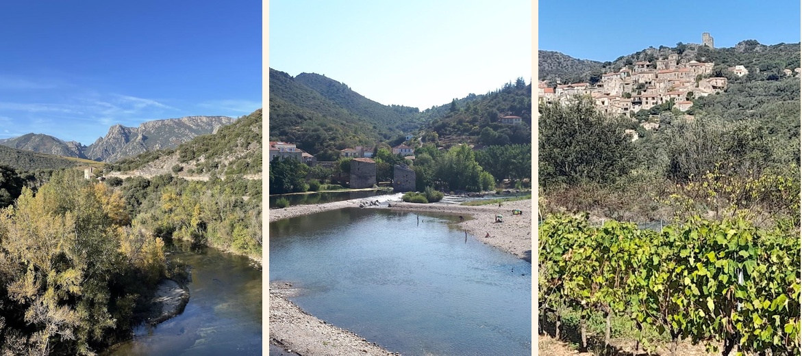 Le Lézard Bleu - Gallery Image 1