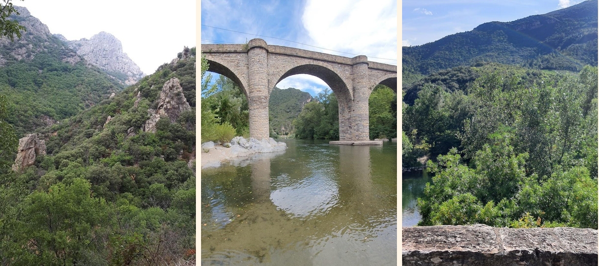 Le Lézard Bleu - Gallery Image 2