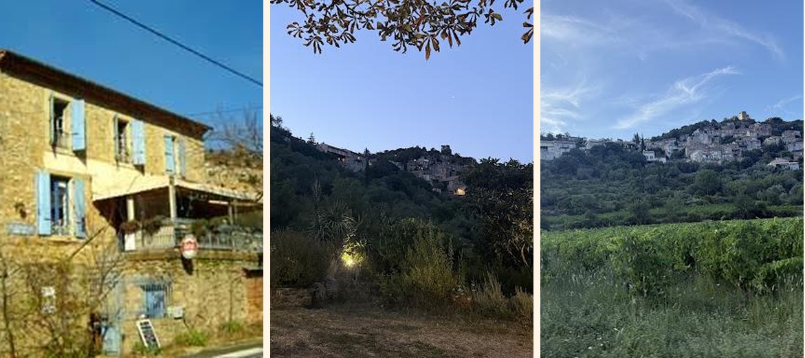 Le Lézard Bleu - Gallery Image 3